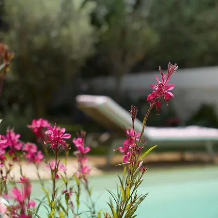 Saint Genes - Chambres Et Table D'hotes Bed and Breakfast